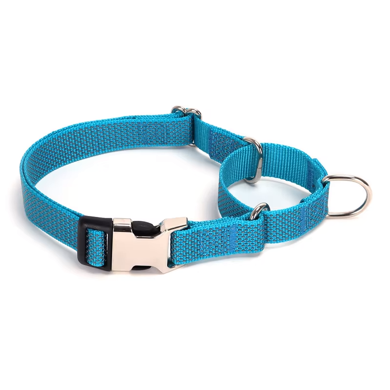 True Charlie Co. Blue Martingale Collar Buckle