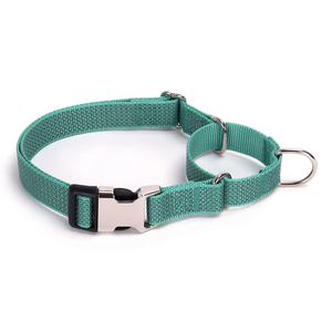 True Charlie Co. Teal Martingale Collar - Buckle