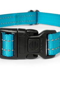 Teal nylon dog collar with plastic clip