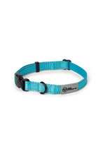 Load image into Gallery viewer, Teal nylon dog collar with plastic clip
